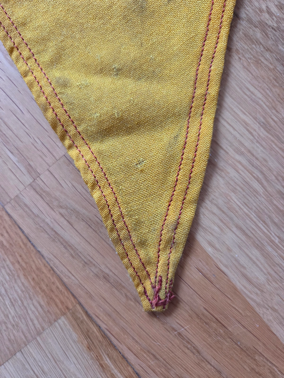 Yellow swallowtail tip
