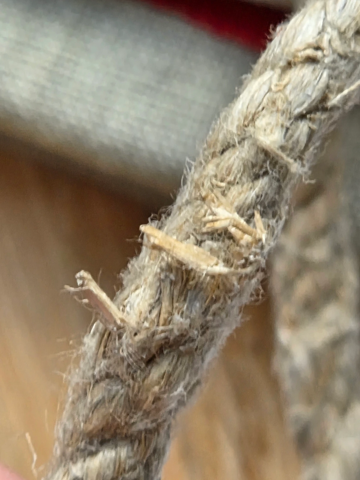 Close-up showing vegetal inclusions and uneven S-twist