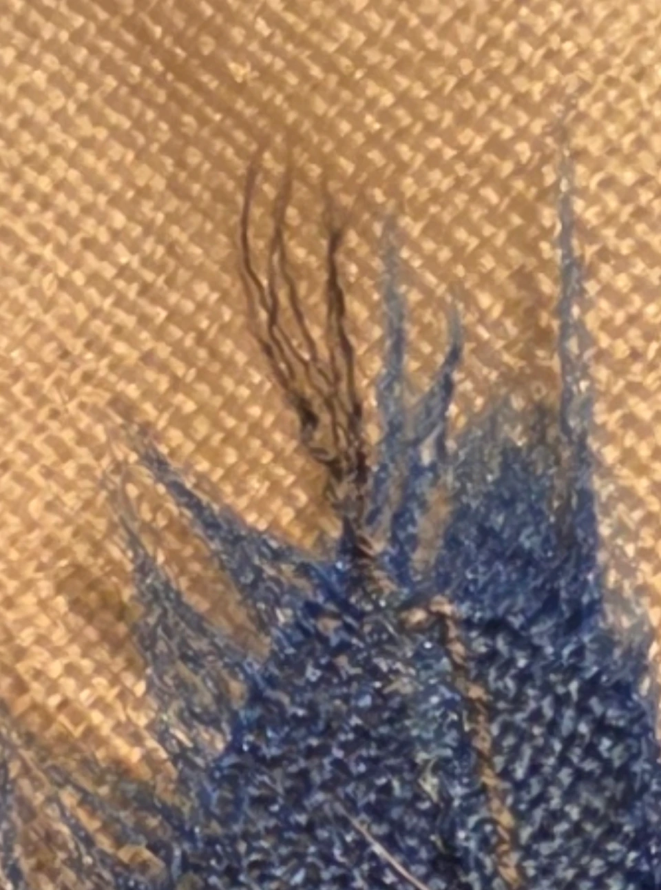 Macro close-up: exposed black stitching thread at swallowtail edge