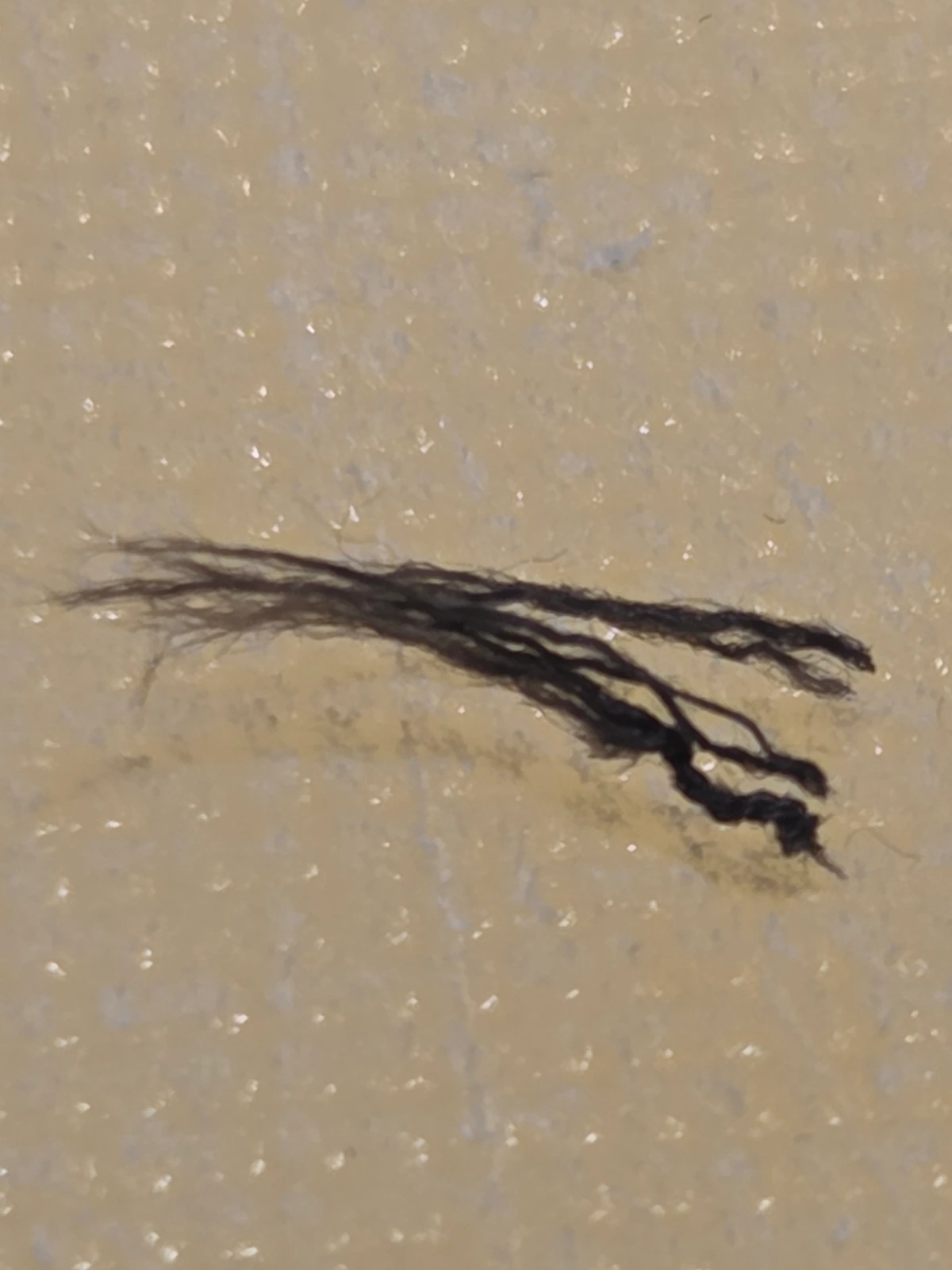 Cut thread sample placed on a plate prior to burn test